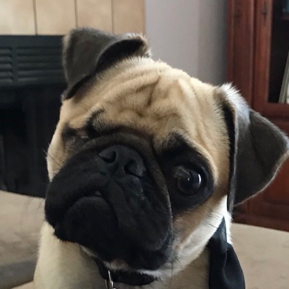victor0221